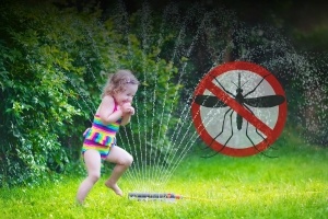 Mosquito Misting Systems In Charleston