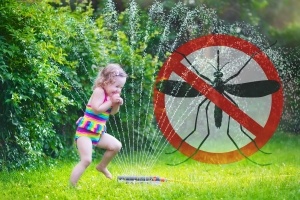 Mosquito Misting Systems In Charleston