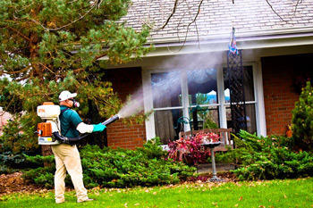 Mosquito Misting System