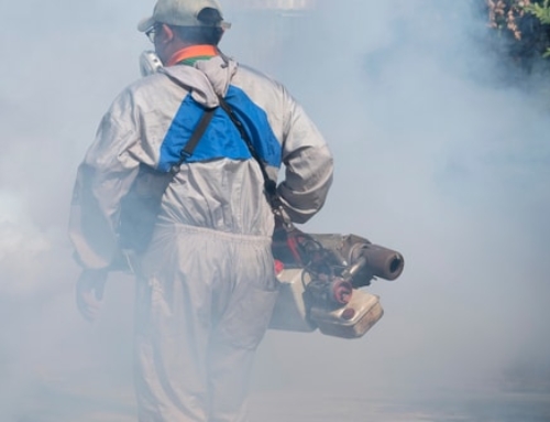 How to Choose a Professional Mosquito Fogging Services Provider?