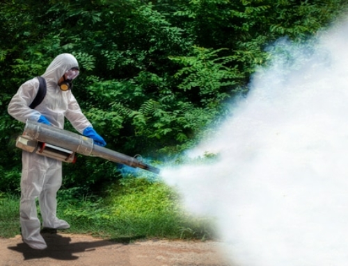 8 Benefits of Installing a Mosquito Control System in Your Backyard